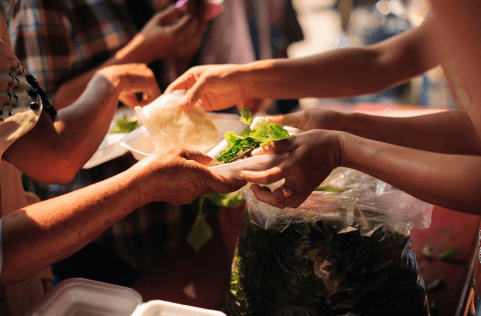 Hormones, Extreme Hunger, and Healing In Eating Disorder Recovery: A Dietitian’s Guide
