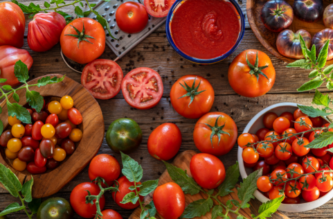 What is Gentle Nutrition?